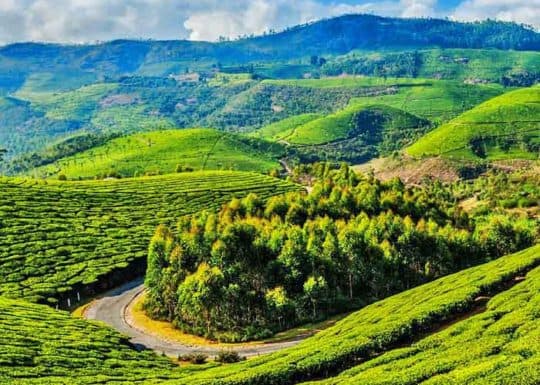 Coonoor landscape